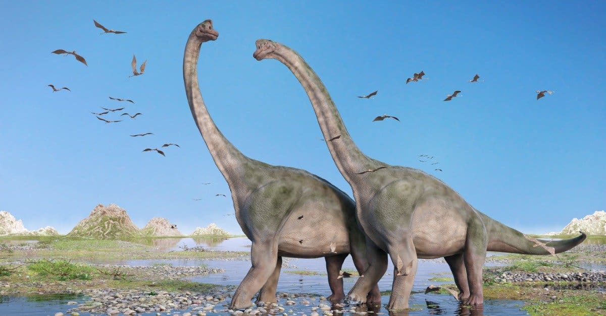 A Brachiosaurus with a long neck