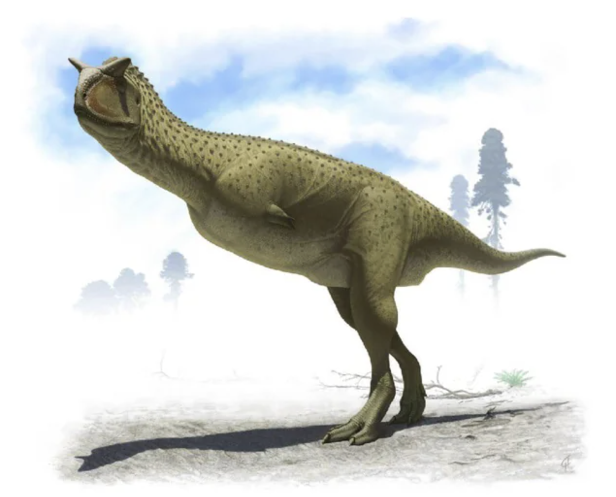A Carnotaurus
