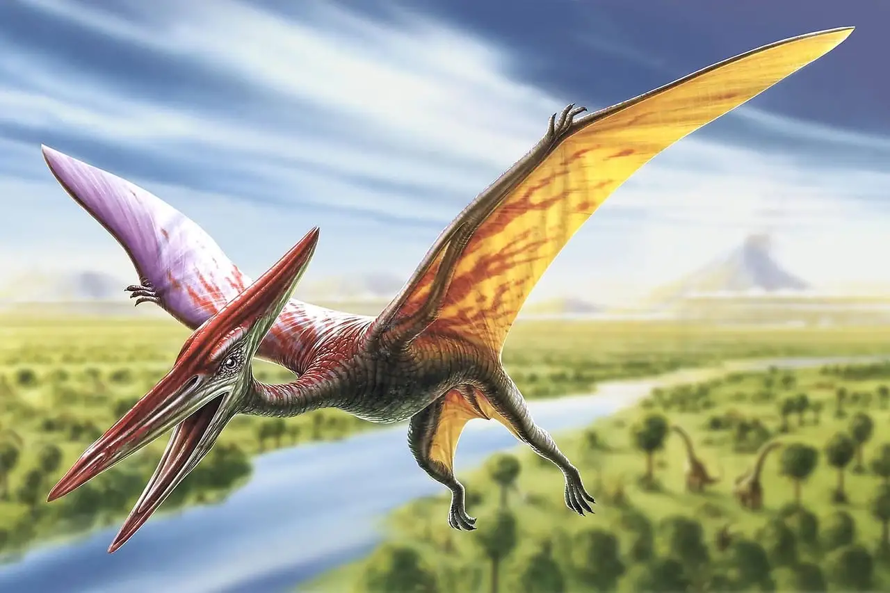 A Pterodactyl flying